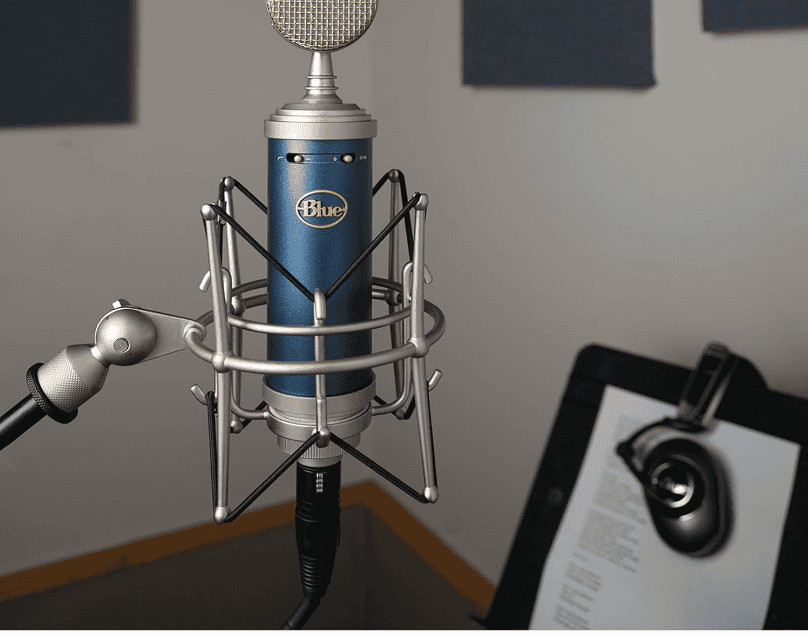 Blue Bluebird Microphone Review